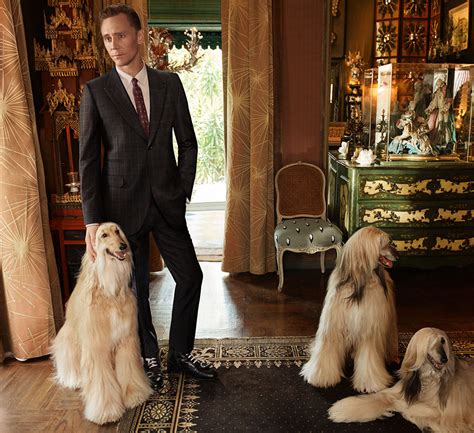 Tom Hiddleston new Gucci campaign stars Afghan .